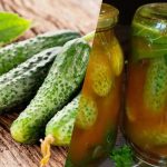 Kako zapreti kumare v čili kečapu za zimo: 3 brezhibni recepti Kako zapreti kumare v čili kečapu za zimo: 3 brezhibni