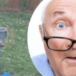 Nenavadna najdba ob drevesu je soseda zmedla: kakšno skrivnost skriva Nenavadna najdba ob drevesu je soseda zmedla: kakšno skrivnost skriva